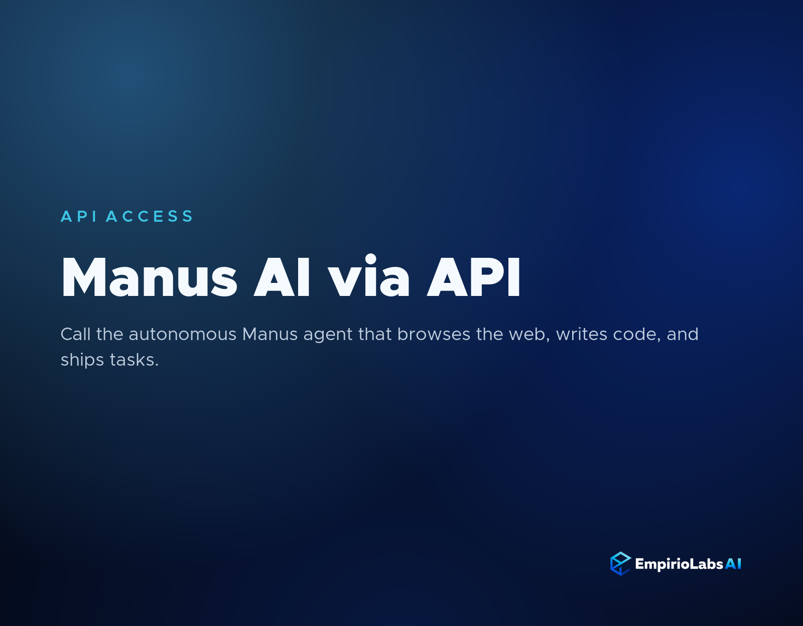 Manus AI API graphic